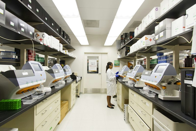 Neuroscience laboratory brain research